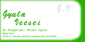 gyula vecsei business card